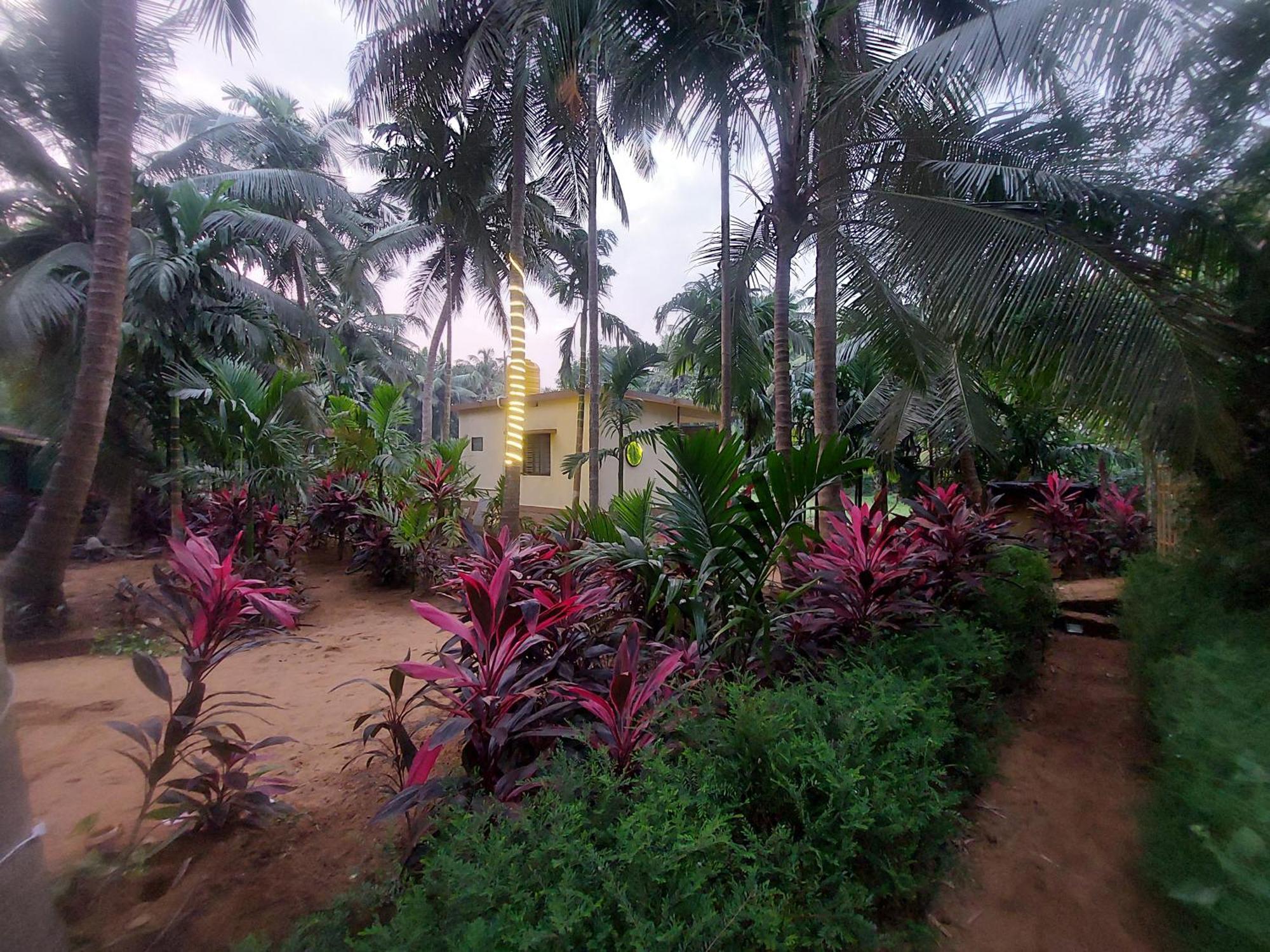 Villa Areca Nest Gokarna  Exterior foto
