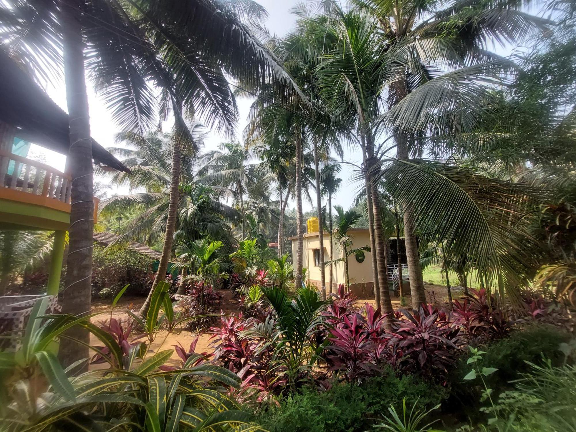 Villa Areca Nest Gokarna  Exterior foto